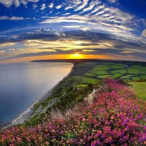 Meet your Posher, Ayesha